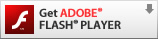 You need to your Adobe Flash Player! to upgrade