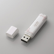 i16GBjMF-NWU216GPN1qp[zCgr