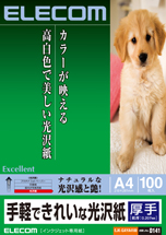 A4サイズ 写真:EJK-GAYA4100