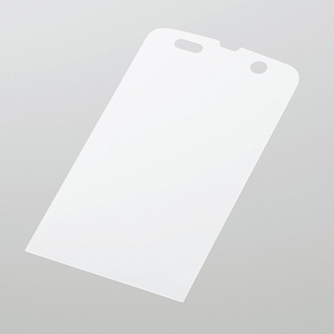 �t���ی�t�B�����i���˖h�~�j