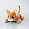 KCT-CAT10