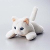 KCT-CAT4