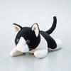 KCT-CAT5
