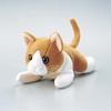 KCT-CAT6