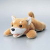 KCT-DOG10