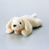 KCT-DOG11