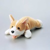 KCT-DOG13
