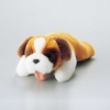 KCT-DOG14