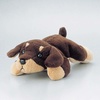 KCT-DOG1
