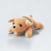 KCT-DOG2S