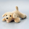 KCT-DOG4