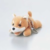 KCT-DOG5S