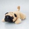 KCT-DOG8