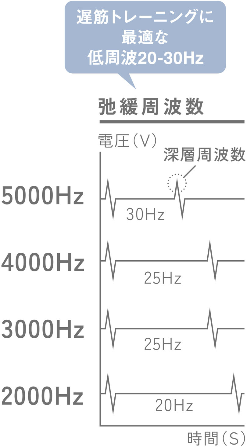 Low frequency 20-30Hz that is most suitable for slow muscle training