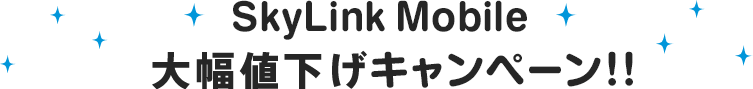 SkyLinkMobile キャンペーン!!