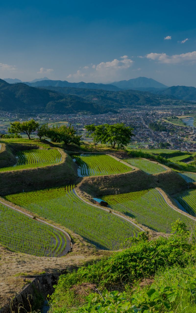 建設現場