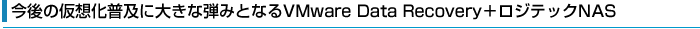 ̉zyɑ傫Ȓe݂ƂȂVMware Data Recovery{WebNNAS