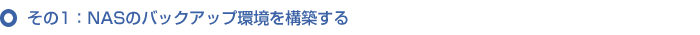 1FNAS̃obNAbv\z
