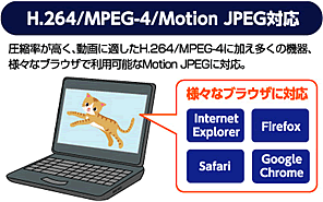 H.264/MPEG-4ȂǈkAɓKtH[}bgɑΉ