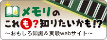 RoHS対応DDR3メモリモジュール - EV1600-4G/RO RoHS対応DDR3メモリモジュール - EV1600-4G/RO