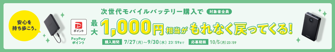 次世代モバイルバッテリー購入キャンペーン PC用バナー画像