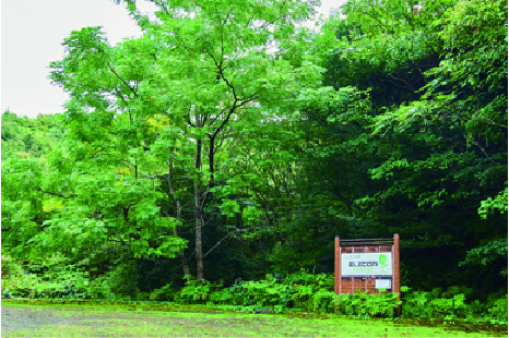 Image of ELECOM FOREST Owase