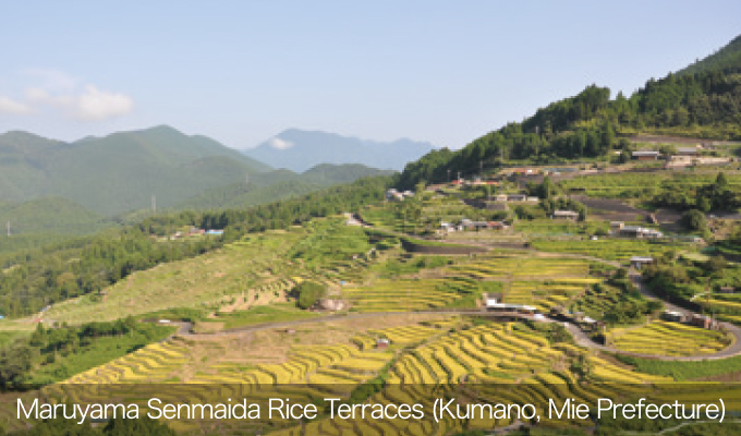 Photo of Maruyama Senmaida Rice Terraces (Kumano, Mie Prefecture)