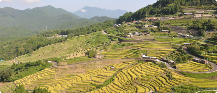 サステナビリティ (Sustainability)