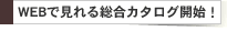 uWEBŌ鑍J^OvJII