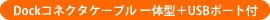 DockRlN^P[u ̌^{USB|[gt