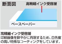 断面図