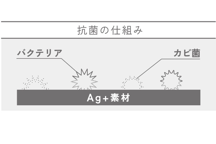 抗菌の仕組み