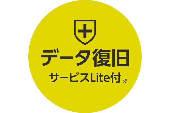 データ復旧サービスLite付き