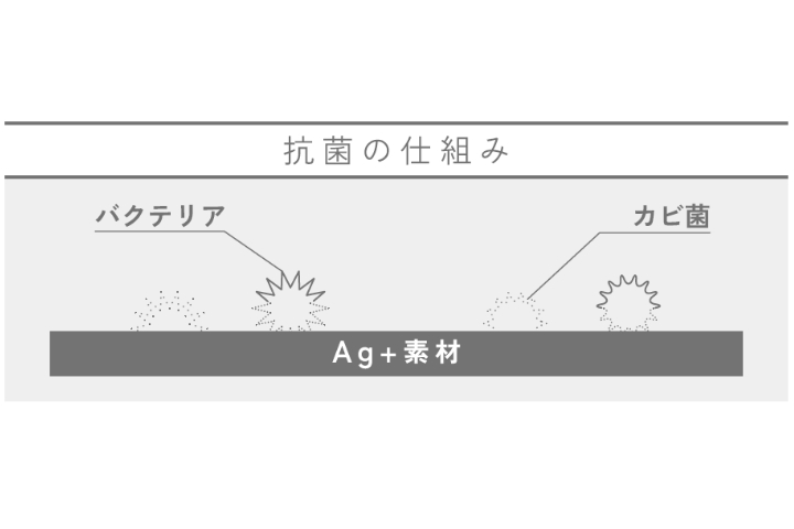 抗菌の仕組み