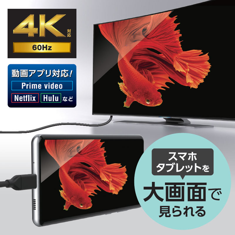 スマートフォン・タブレットを大画面で見られる