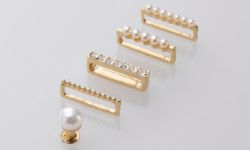 AW-RINGPINS01P 製品イメージ