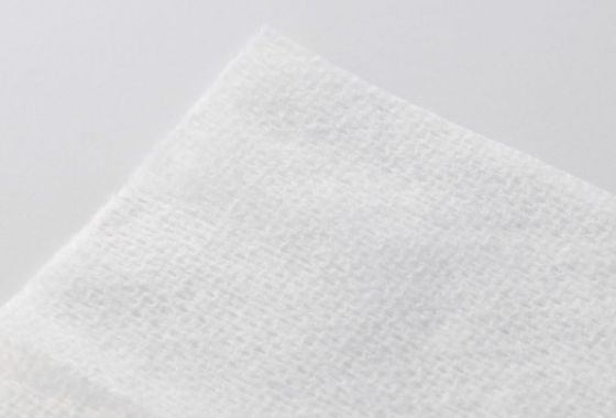 日々のお掃除におすすめ！汚れ落としお徳用ウェットクリーニングティッシュ