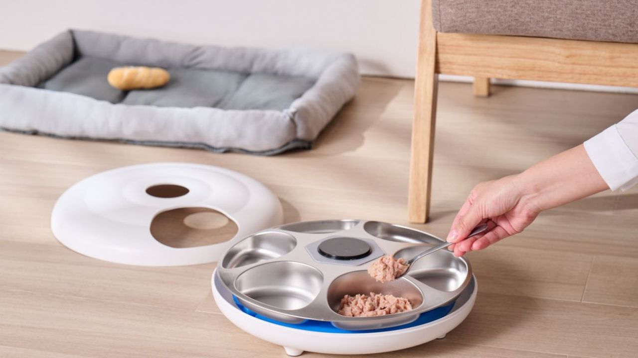 いつでも新鮮&安心!タイマー式自動給餌器