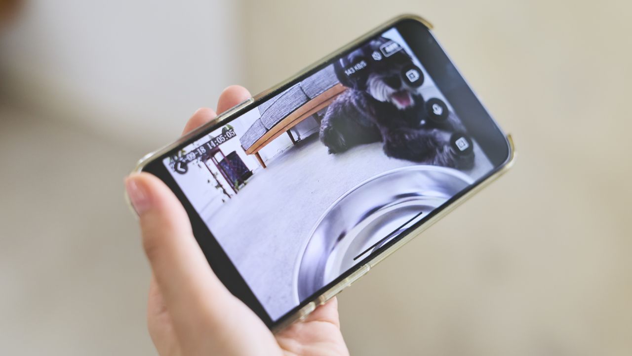 スマホ連動でかしこく見守り!