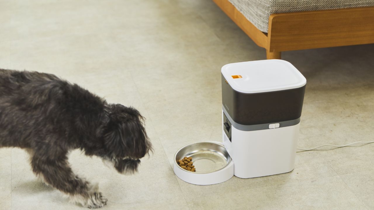 スマホ連動でかしこく見守り!