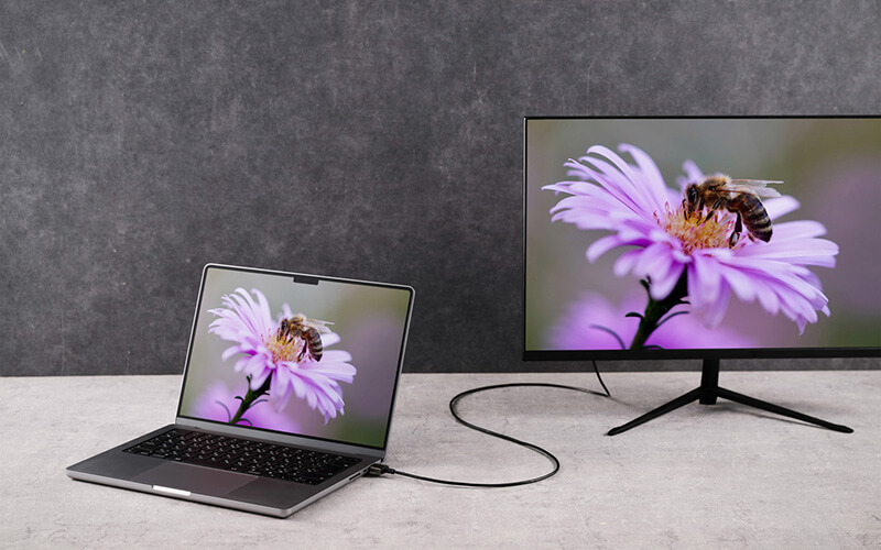 8K/4Kの美しい映像と臨場感あふれるサウンドを再生可能