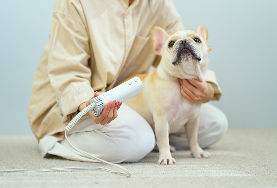 ドライはもっと、楽になる。新常識! 両手が使える犬猫用ドライヤー