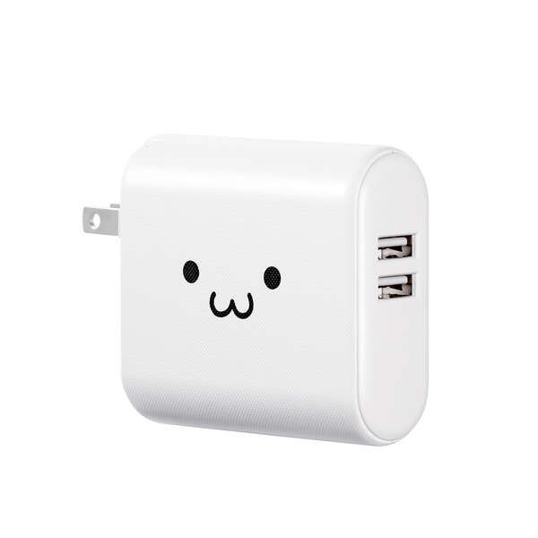 AC一体型3350mAh 2.4AUSB-Ax2 WF - DE-AC02-3350WF