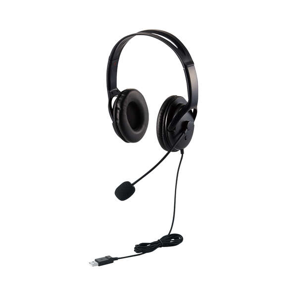 Type-C変換付き大型オーバーヘッドセット - HS-HP28UCBK