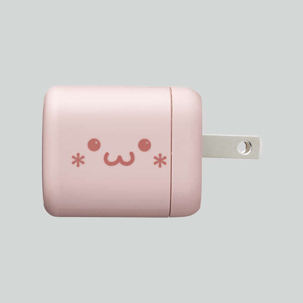 USB Power Delivery 45W AC充電器(C×1) - EC-AC13APF