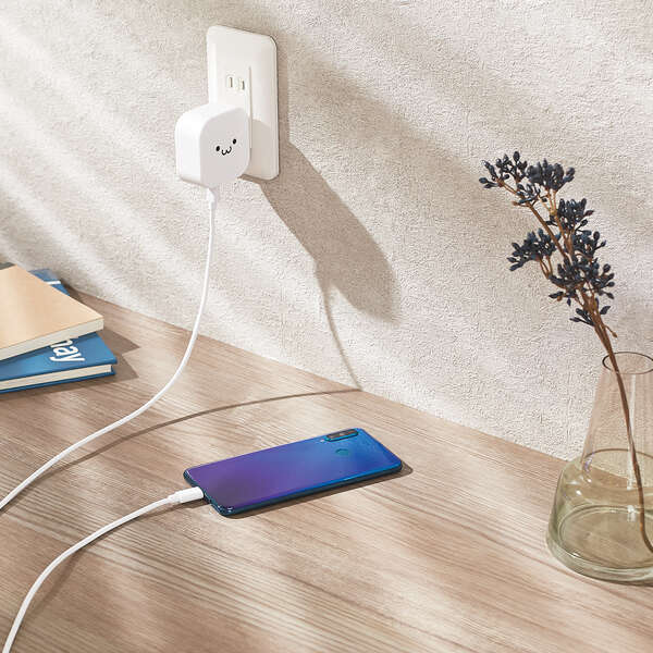 AC充電器(USB Power Delivery20W+12W/C-Cケーブル付属+A×1） - MPA-ACCP21WF