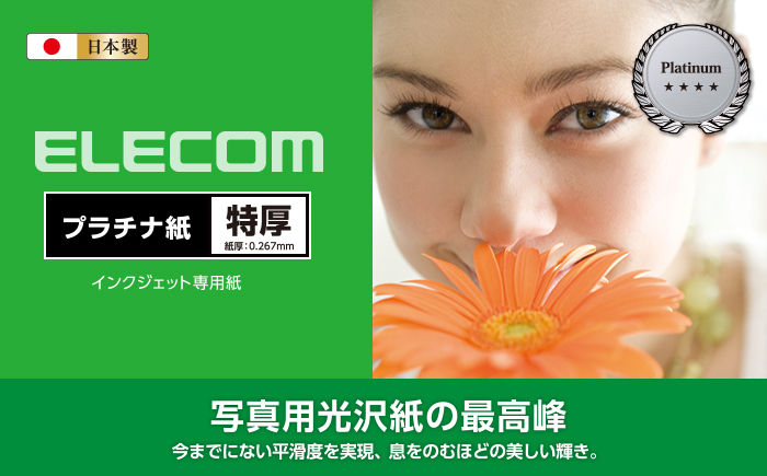 プリンター用紙 エレコム 写真用紙 ELECOM EJK-GANA4100 EJK-GANシリーズ 光沢紙  価格比較