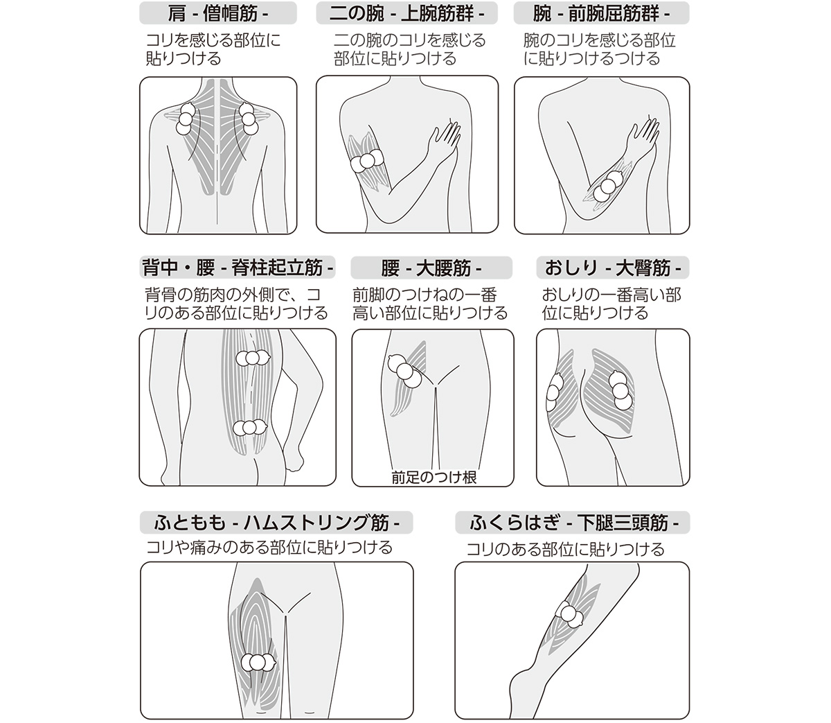 肩こり 腰痛 症状別 低周波治療器のパッドの貼り方 エレコム