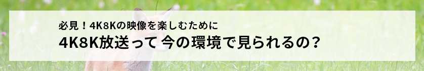 4K8K放送って今の環境で見れるの？
