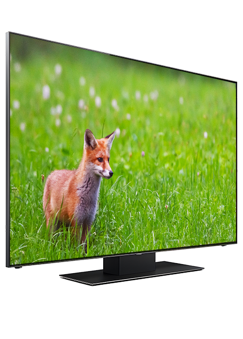 テレビ